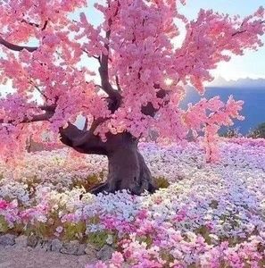 Meet your Posher, Tennille